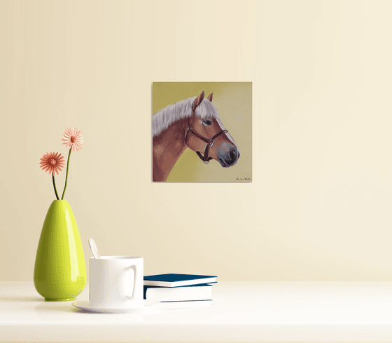 Horse Portrait 27