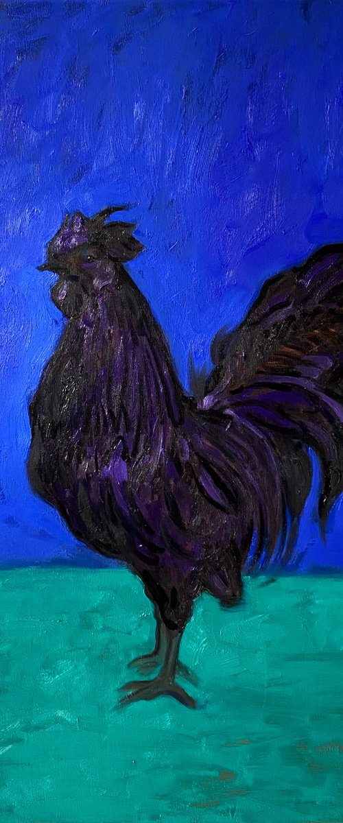 Black rooster by Elina Arbidane