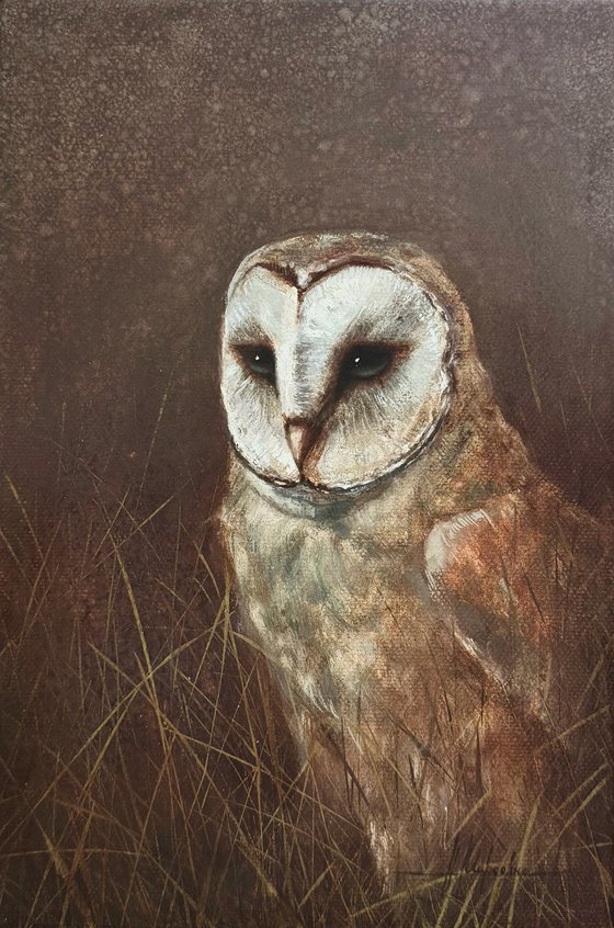 White #1 Owl