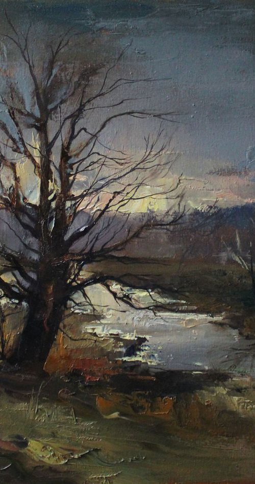Spring landscape by Khrystyna Bodnaruk