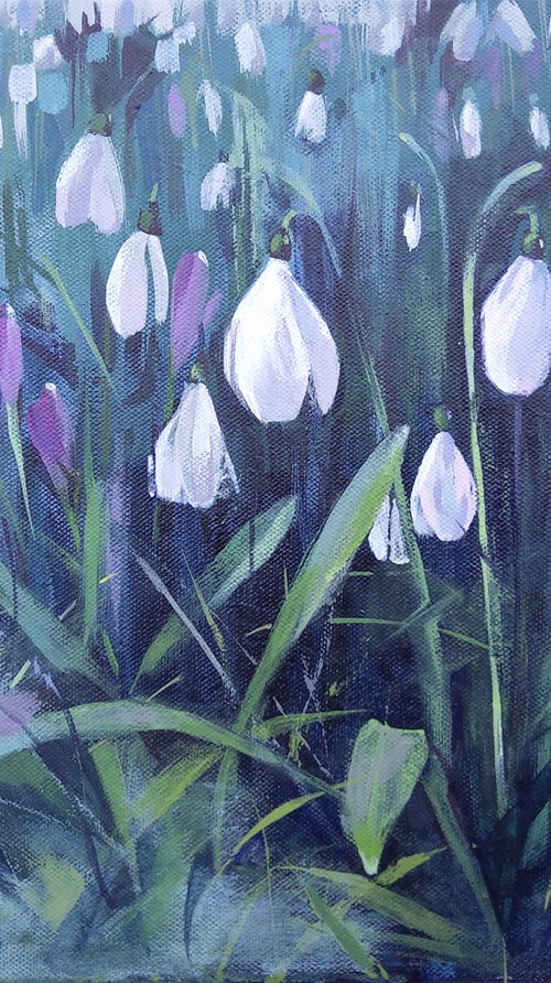 Snowdrops by Anjana Cawdell