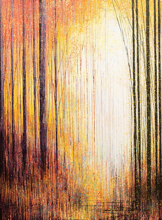 Golden Light Through Forest Trees