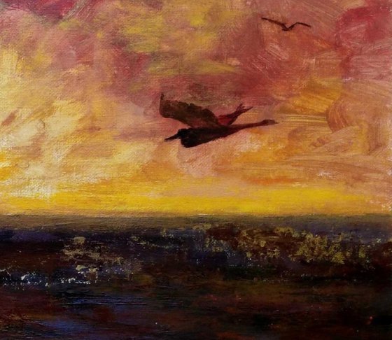 African egrets at sunset