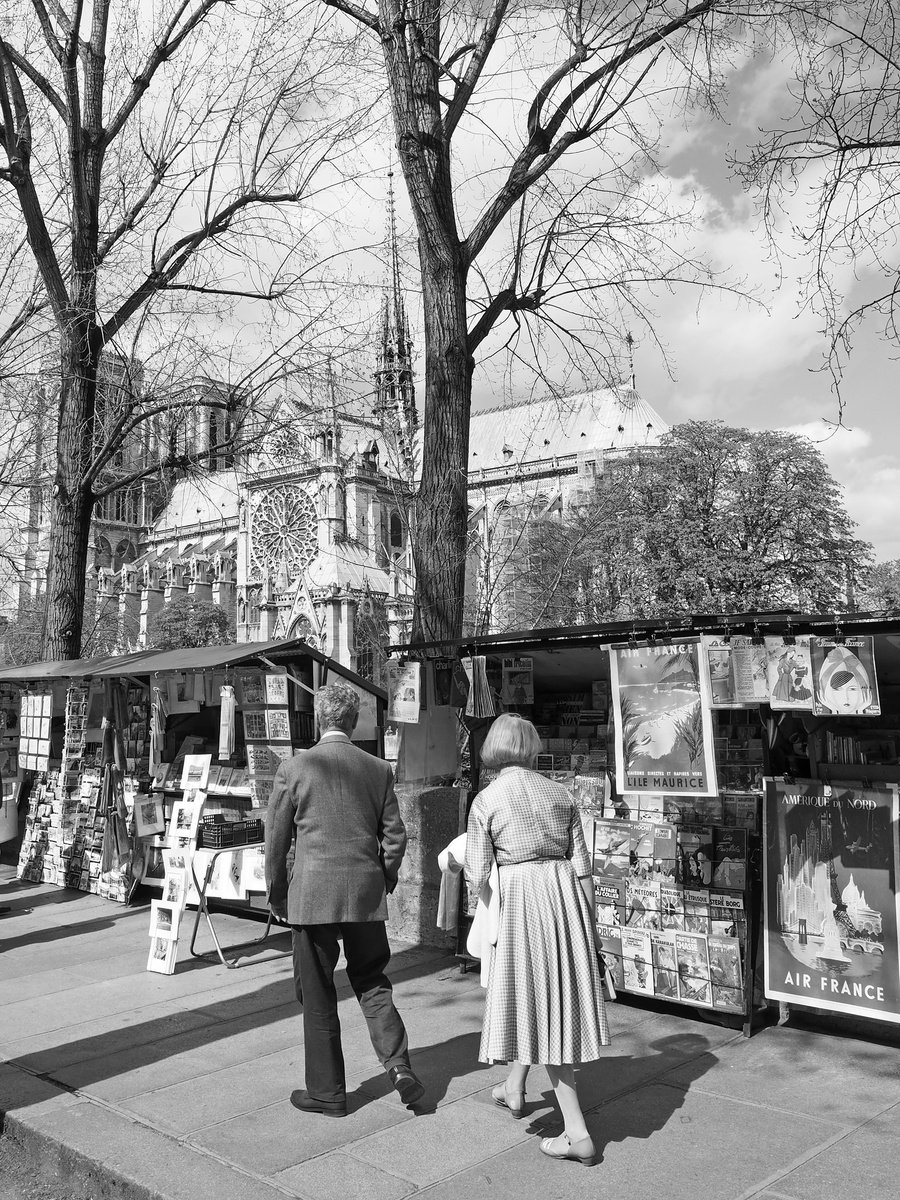 Photorealistic Photograph , Les Bouquinistes De La Rive Gauche By Alex Cassels, 19 X 24, Artwork For Sale On Artfinder