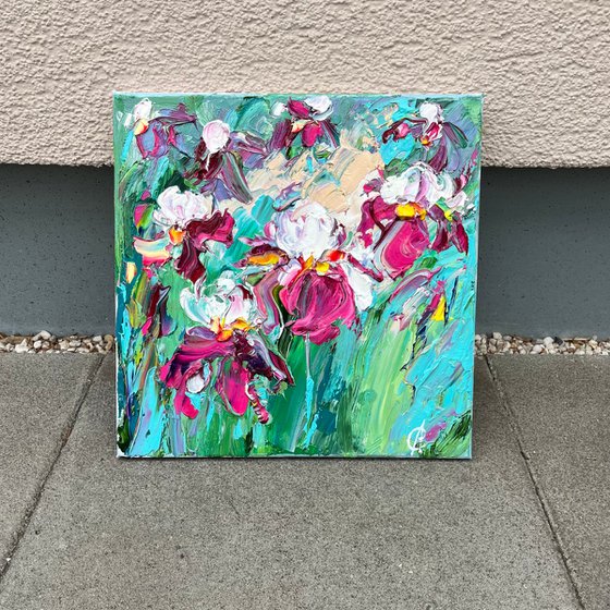 Whisper of irises