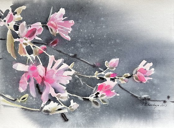 First magnolia