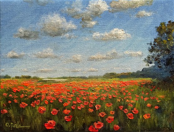 Poppy horizon