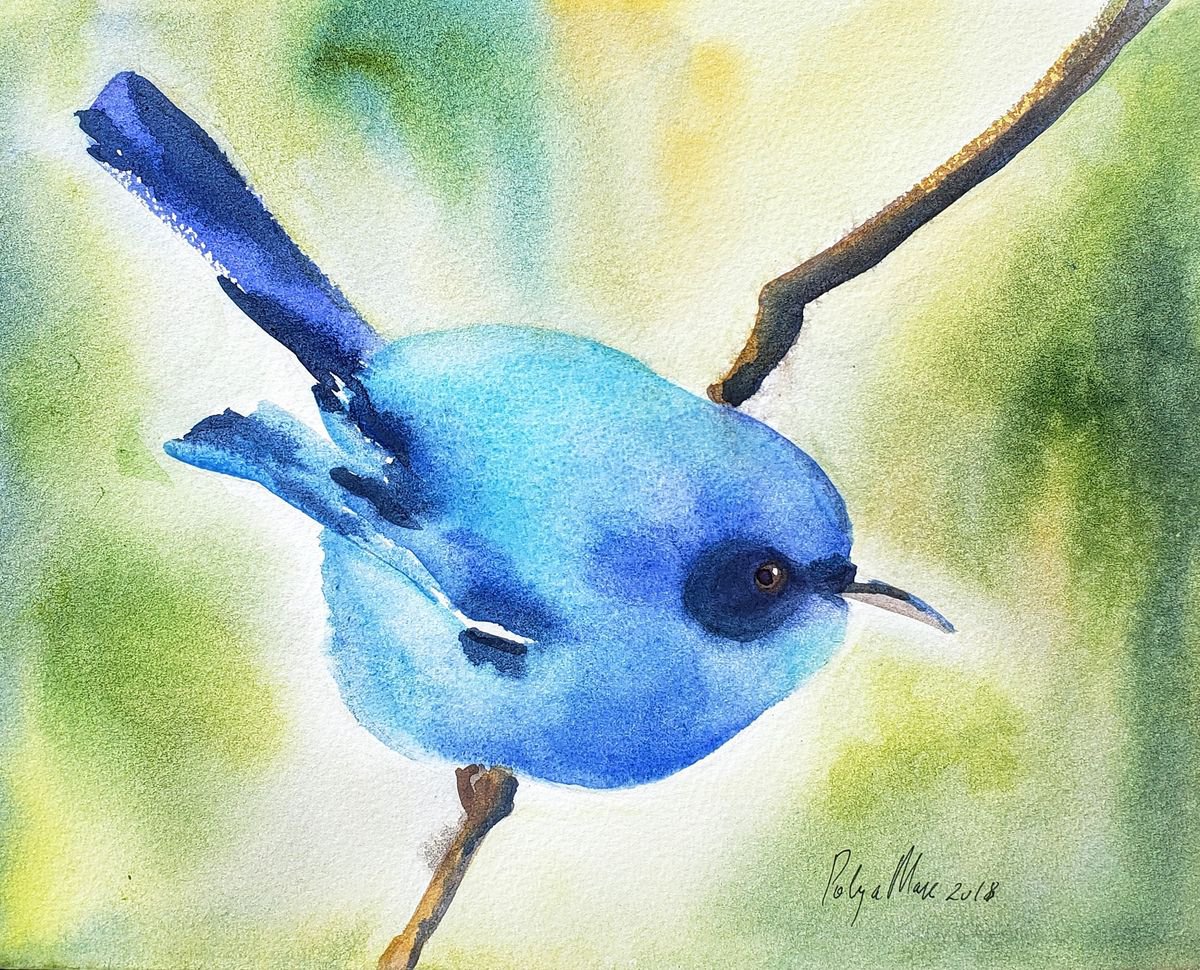 Tropical blue bird by Polina Morgan