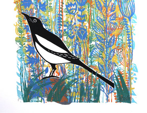 Magpie Dreams