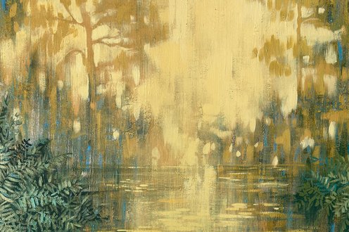 Cover image for Bring the outdoors in collection