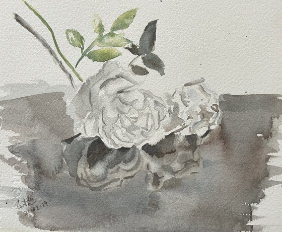 White Roses watercolor