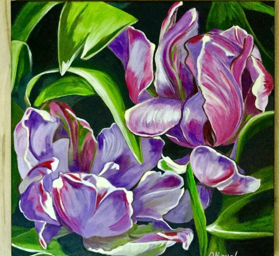 Bouquet of tulips
