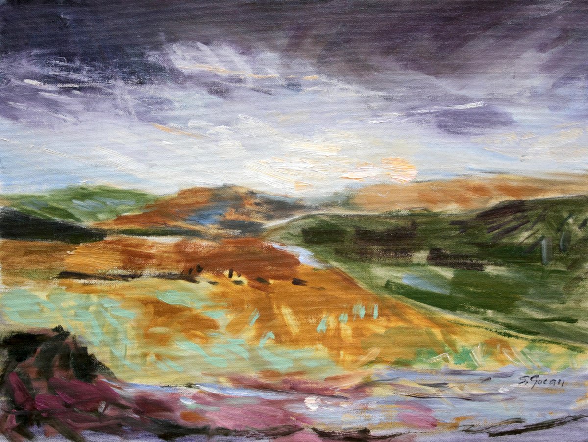 Dusk Over The Mesa By Simona Gocan, 16 X 12, Artwork For Sale On Artfinder