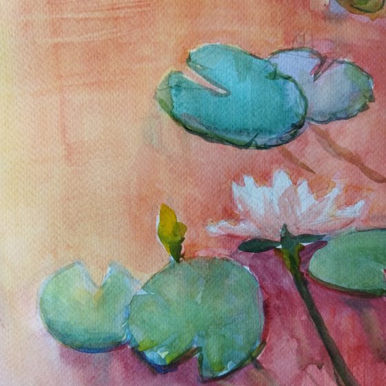 Pind with water lily