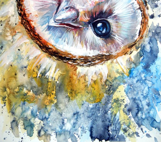 Barn owl