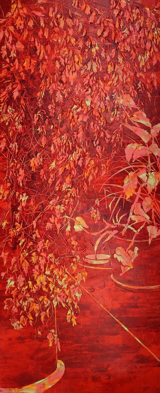 Red Morning