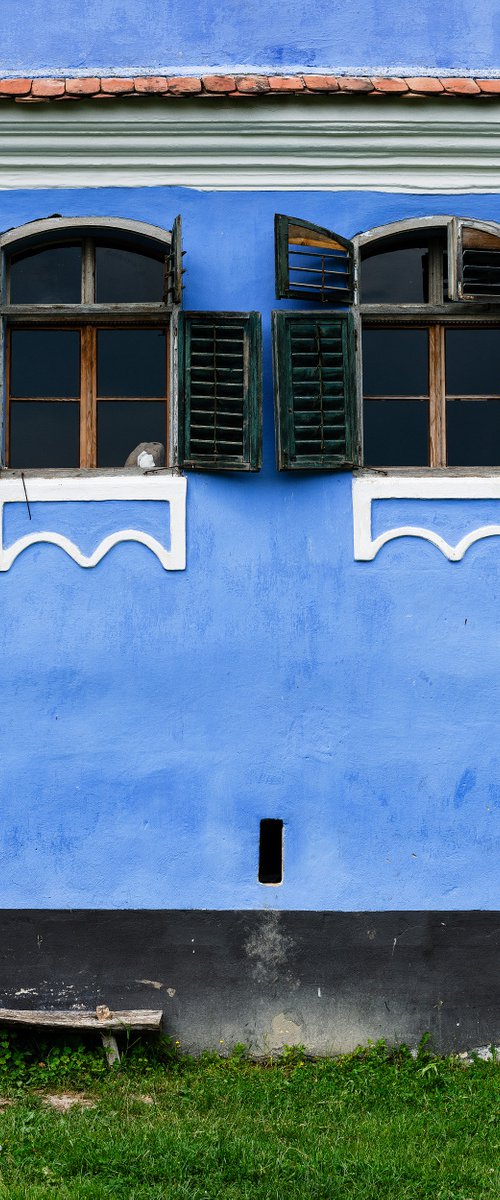 Transylvanian Blue Saxon Facade by Tom Hanslien