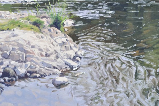 The Wild Loire In Spring