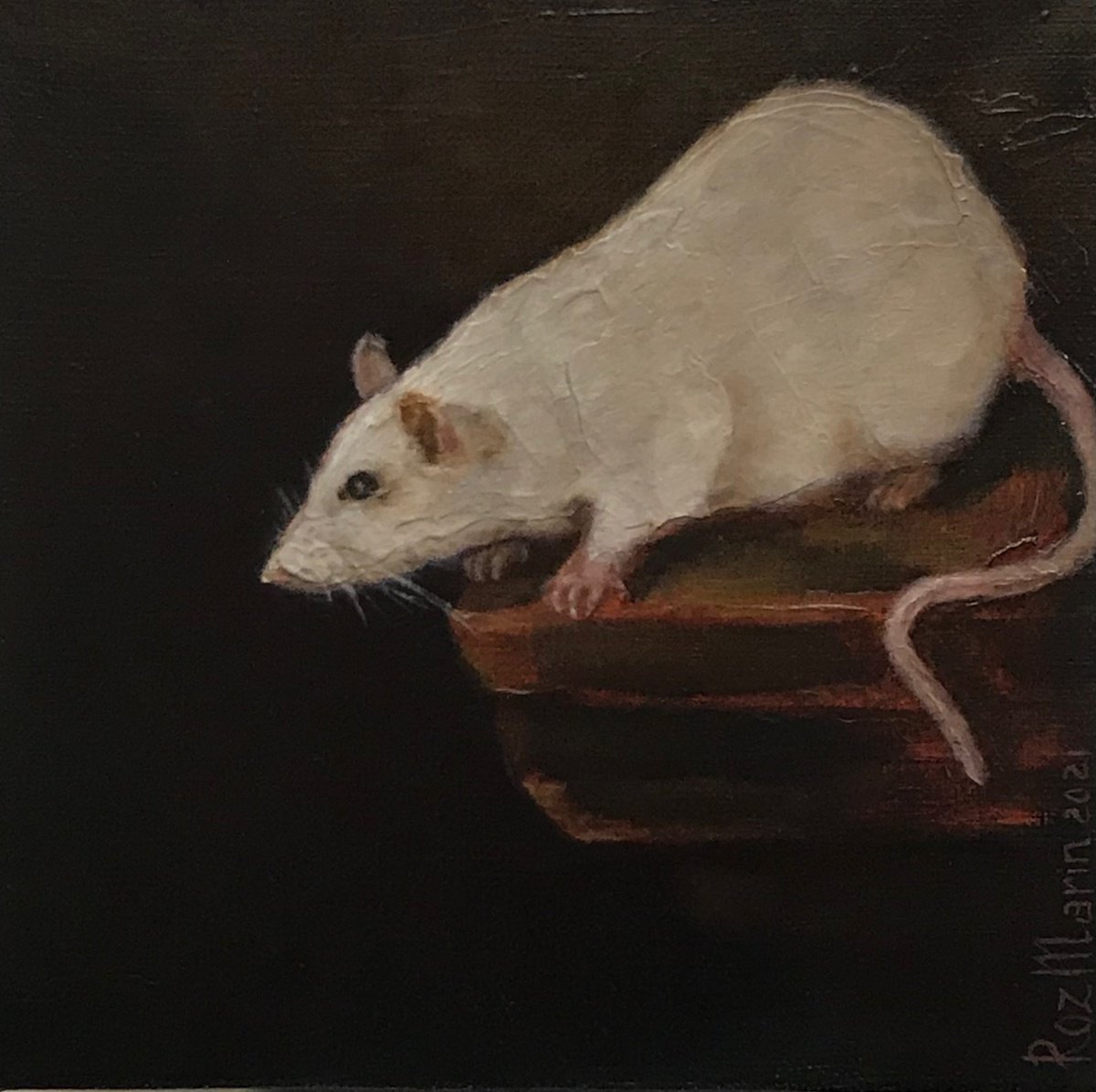 Photorealistic Animal Oil Painting By Marina Deryagina, 8 X 8", White Rat Animals Collection, Original Artwork