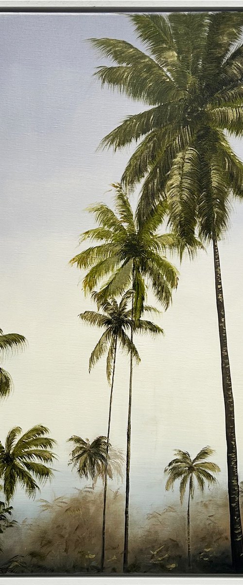 Palms before Sunset by Robert Kerr