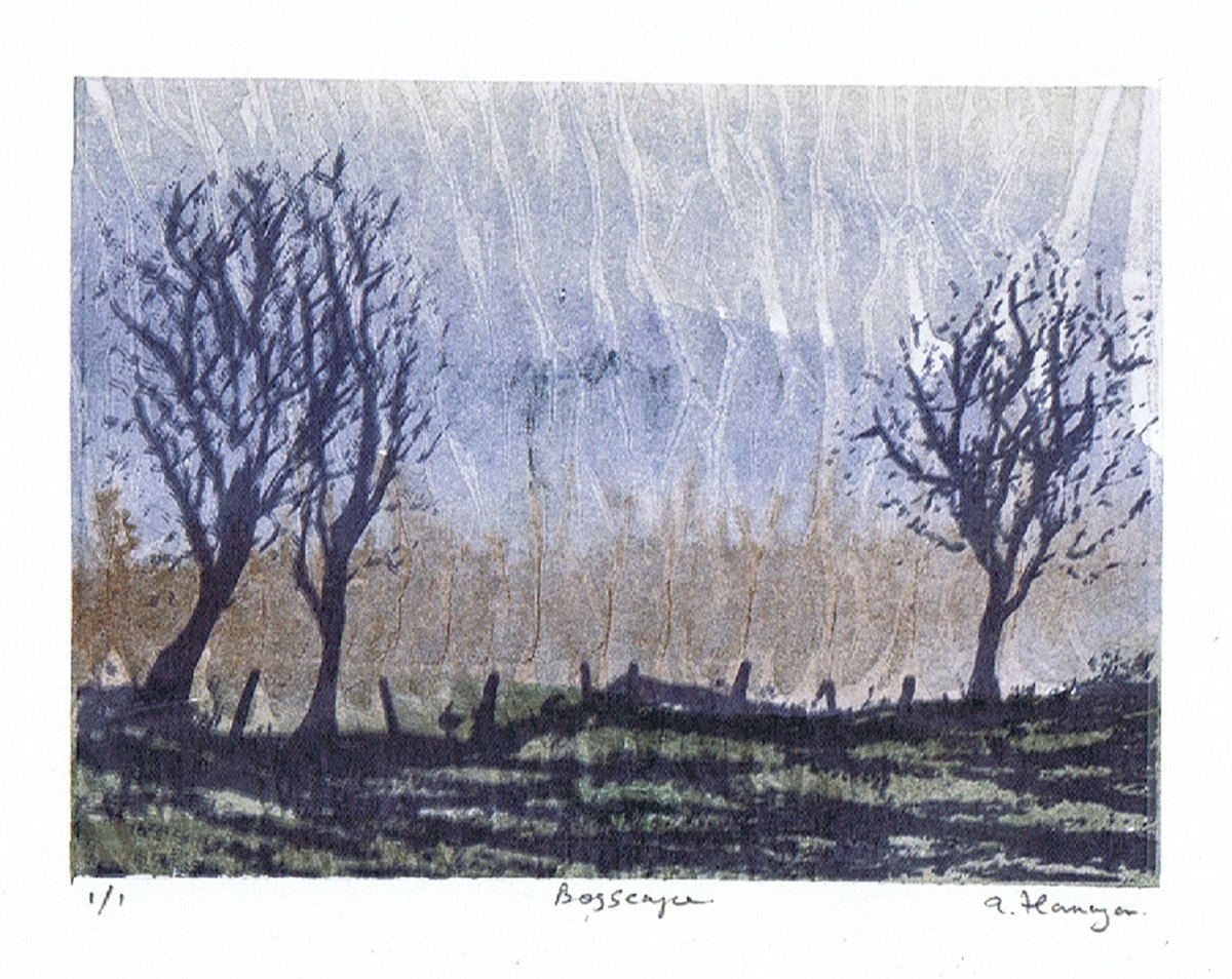 Bogscape by Aidan Flanagan Irish Landscapes