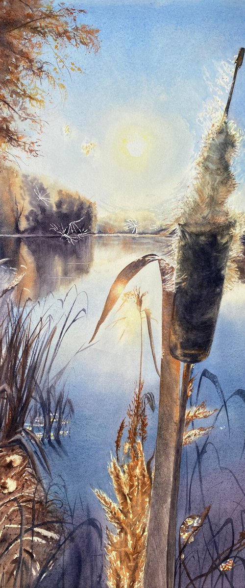 Sun in the Reeds by Alla Semenova