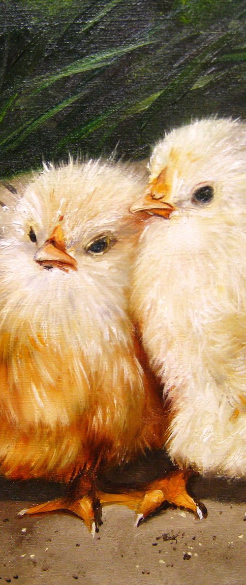 Cute little chickens by Natalia Shaykina