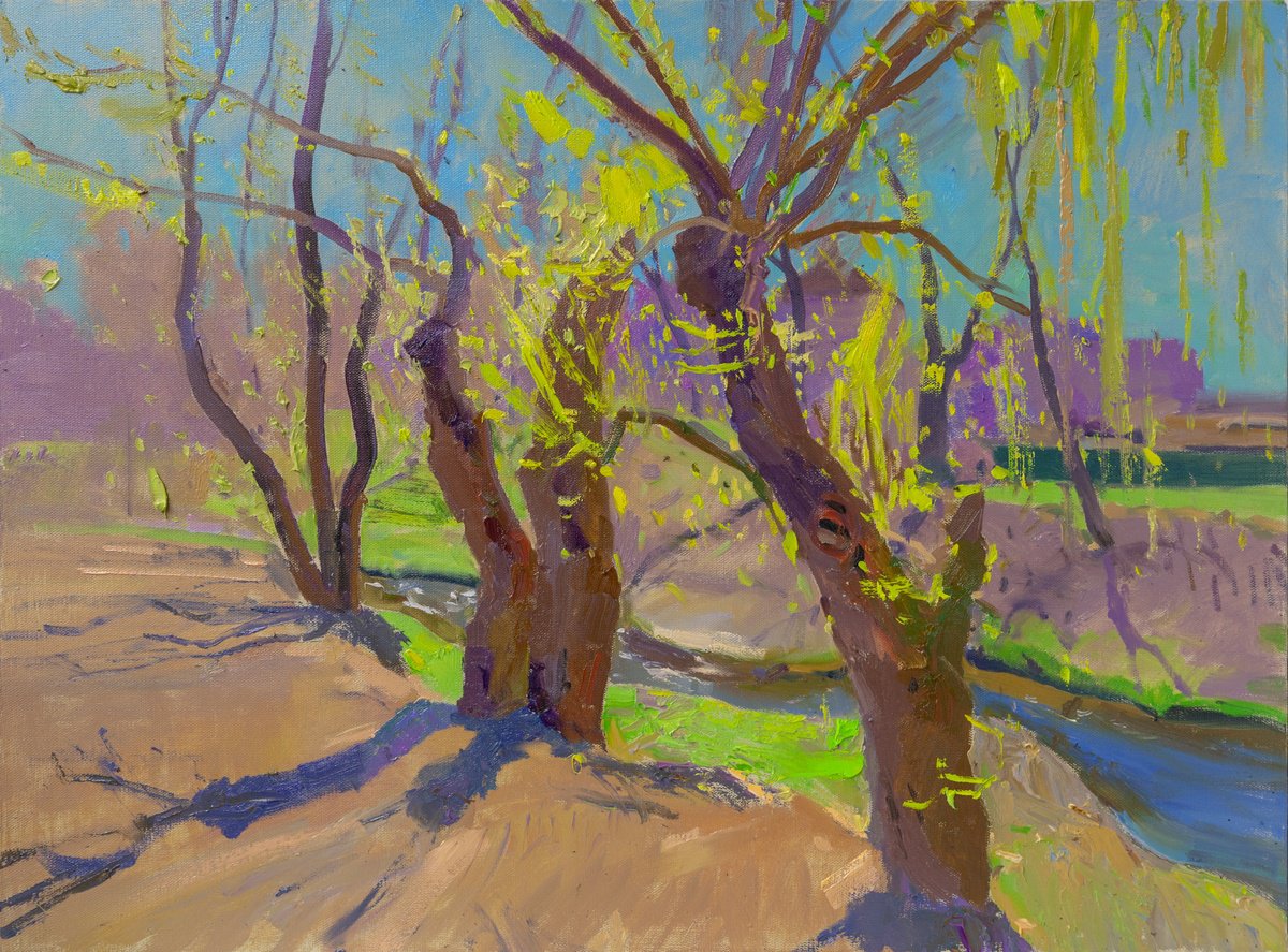 Impressionistic Landscape Oil Painting By Victor Onyshchenko, 31 X 24", Willows Near The River, Original Artwork