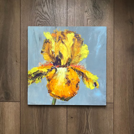 Iris yellow acrylic on canvas