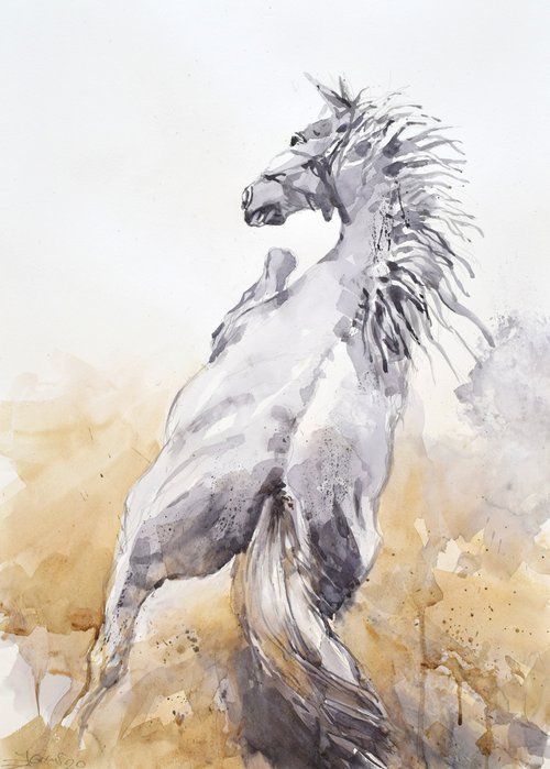 Prancing  horse (70x50). by Goran Žigolić Watercolors