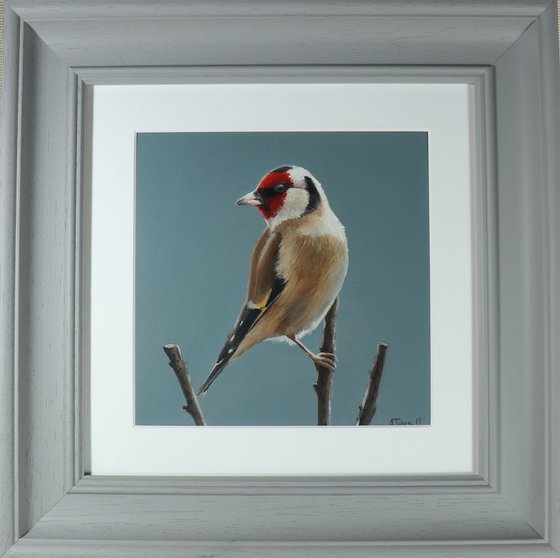 Goldfinch Painting, Bird Artwork, Animal Art Framed