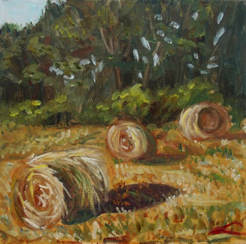 Summer haystacks by Elena Sokolova
