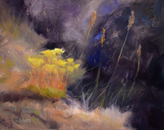 Wild stonecrop sedum flowers in blue grass