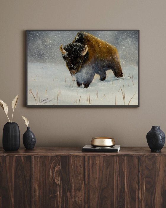 Kansas Bison