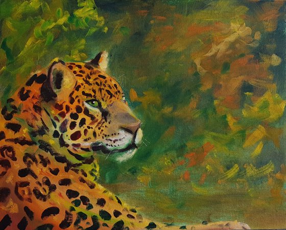 Onça pintada (Jaguar)