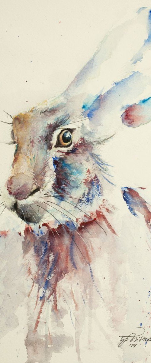 Hare by Tomasz Mikutel