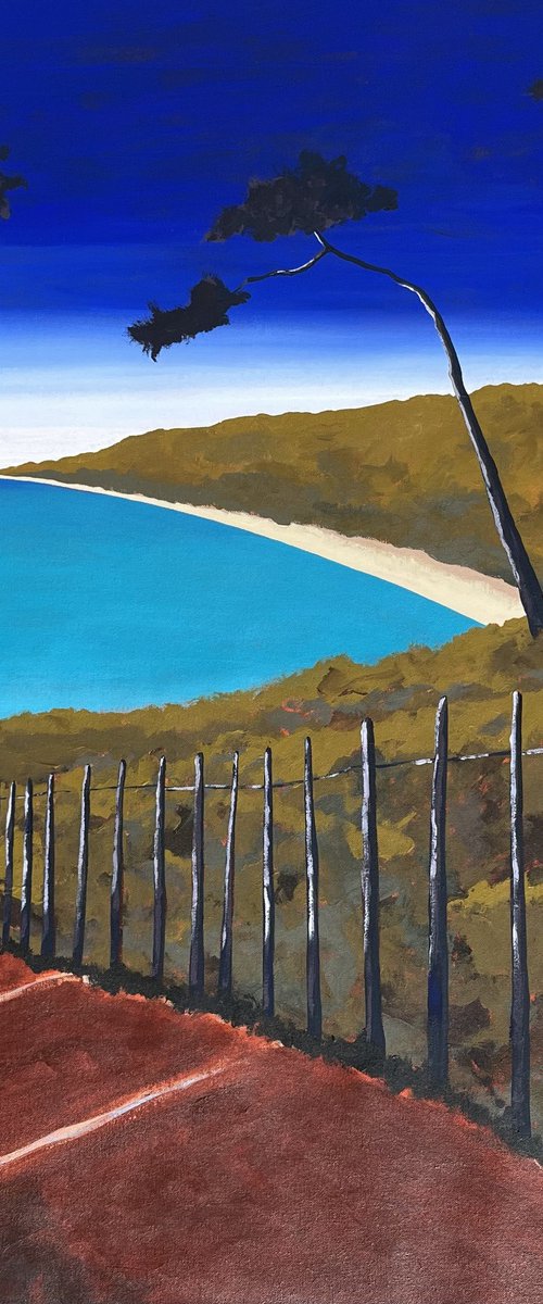 Littoral Corse by Cadiou Frederic