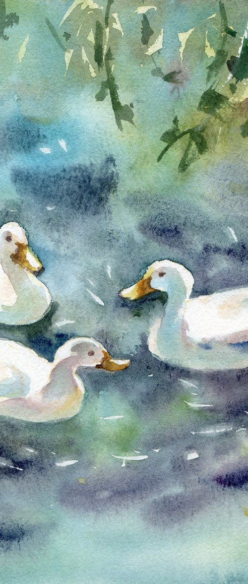 Three snow-white ducks by Yulia Evsyukova