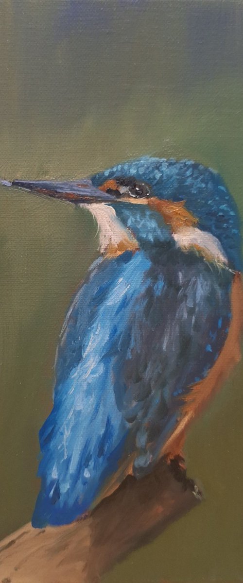 Kingfisher by Robert Mee