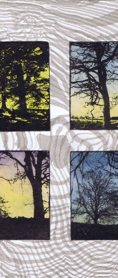 The Beautiful Trees 22 by Aidan Flanagan Irish Landscapes