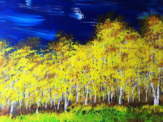 Autumn birch forest