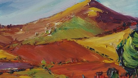 The colourful fields of Croghan Mountain - An Irish Landscape