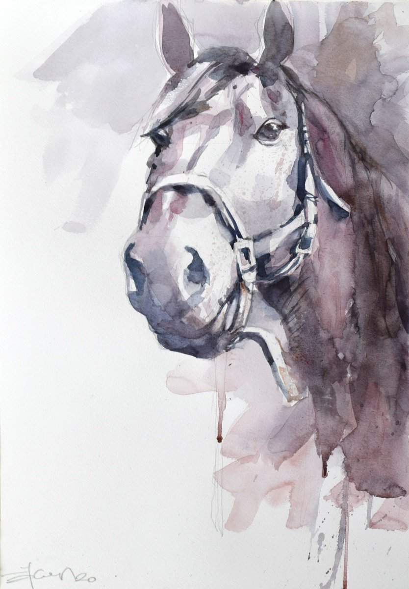 Expressive Animal Watercolour By Goran Zigolic Watercolors, 14 X 20, Horse Head 8, Original Artwork
