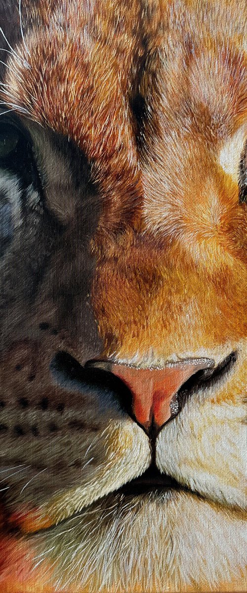 Son of the sun by Martyna Maik