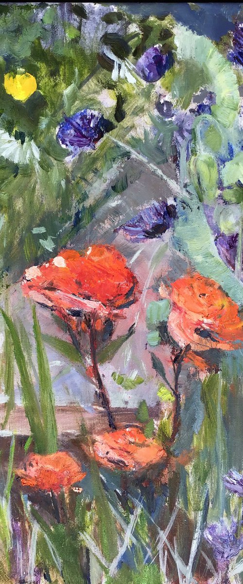 Roses, Cornflowers, Poppies by Sandra Haney