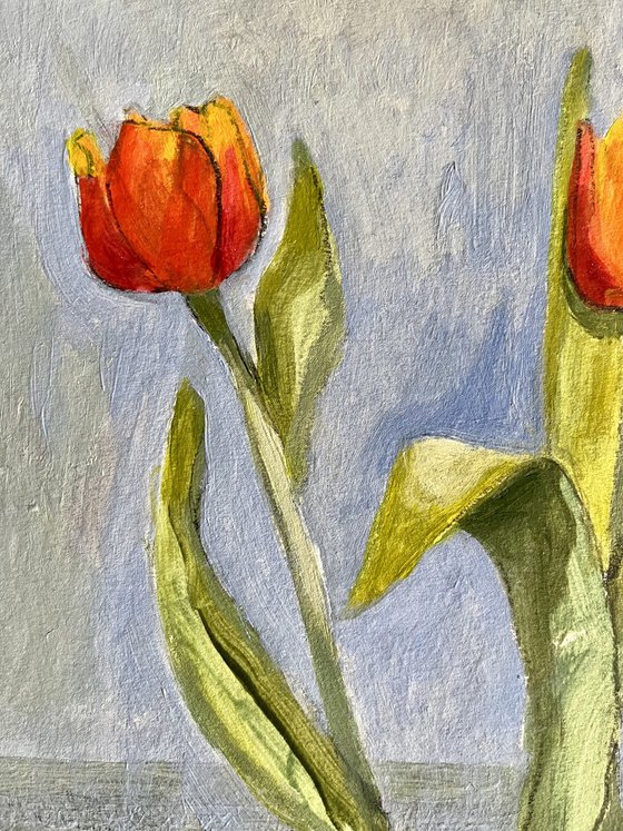 Fiery Red Tulips