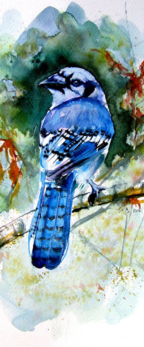Blue bird by Kovács Anna Brigitta
