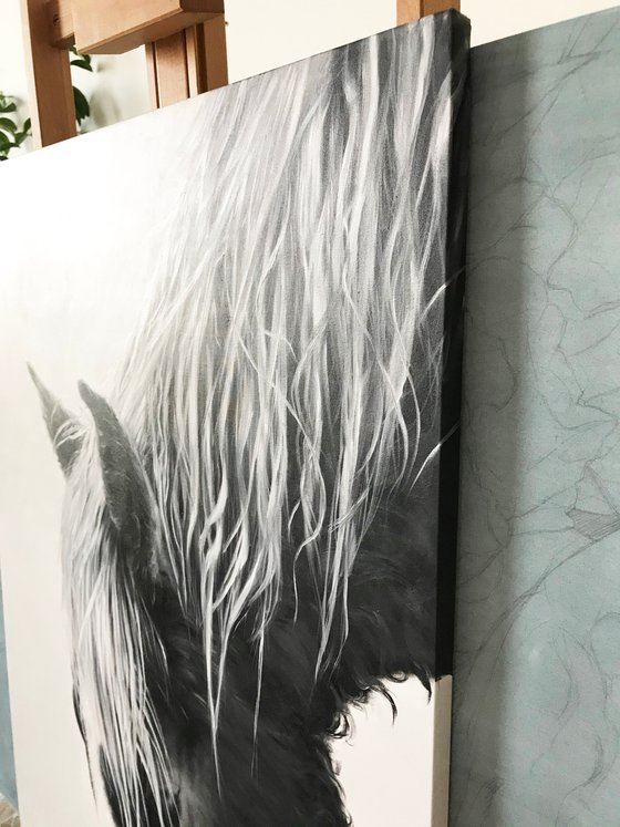 Oil painting with horse "Breeze" 60*80 cm
