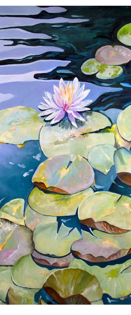 Bass Pond White Lily Limited Edition by Catherine Twomey