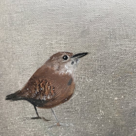 Two Little Wrens ~ on Silver II